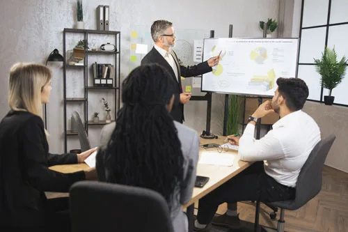 Project Management Consulting